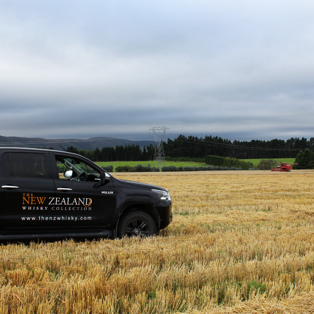 Harvest underway in a South Island barley field